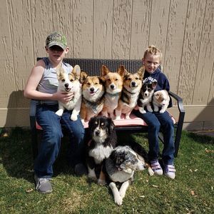 Meet your Posher, Nikki